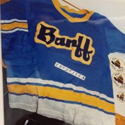 Cover image of Hockey Sweater